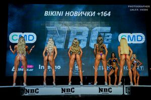 BIKINI НОВИЧКИ +164